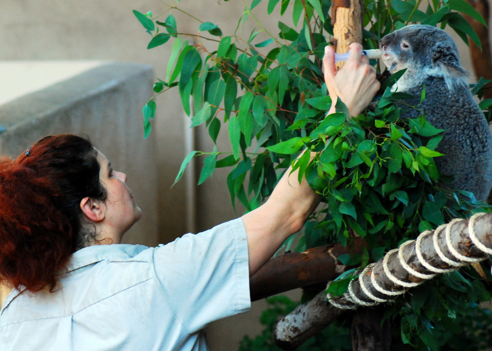 #65. Zoologists and wildlife biologists